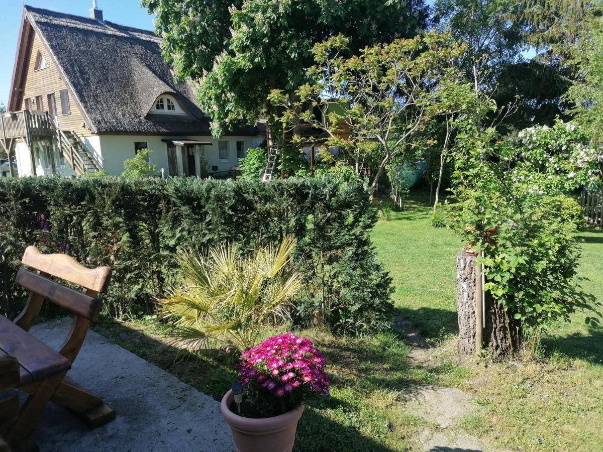 Ferienwohnung Am Haffberg Neverow المظهر الخارجي الصورة