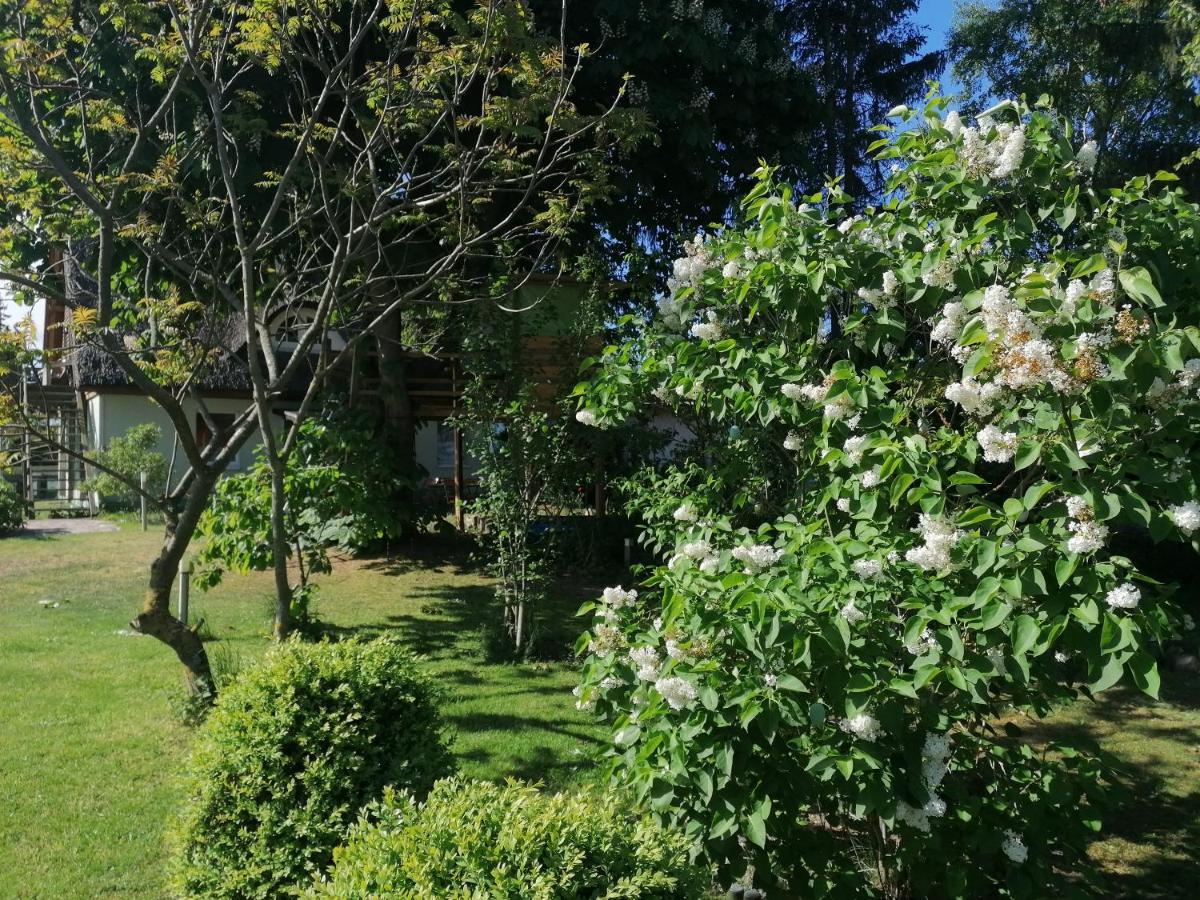 Ferienwohnung Am Haffberg Neverow المظهر الخارجي الصورة